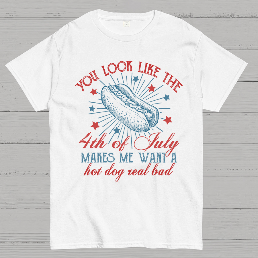 You Look Like the 4th of July Geeky T-Shirt