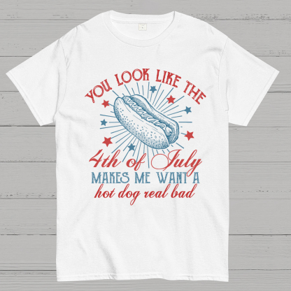 You Look Like the 4th of July Geeky T-Shirt