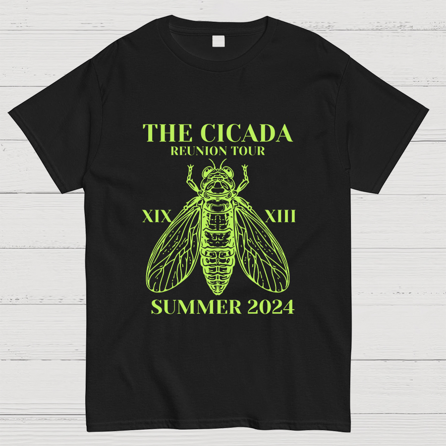 The Cicada Reunion U.S Tour 2024 Cicada Geeky T-Shirt