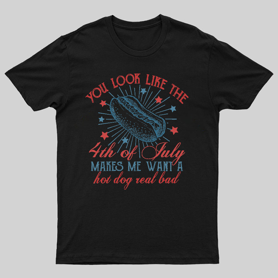 You Look Like the 4th of July Geeky T-Shirt