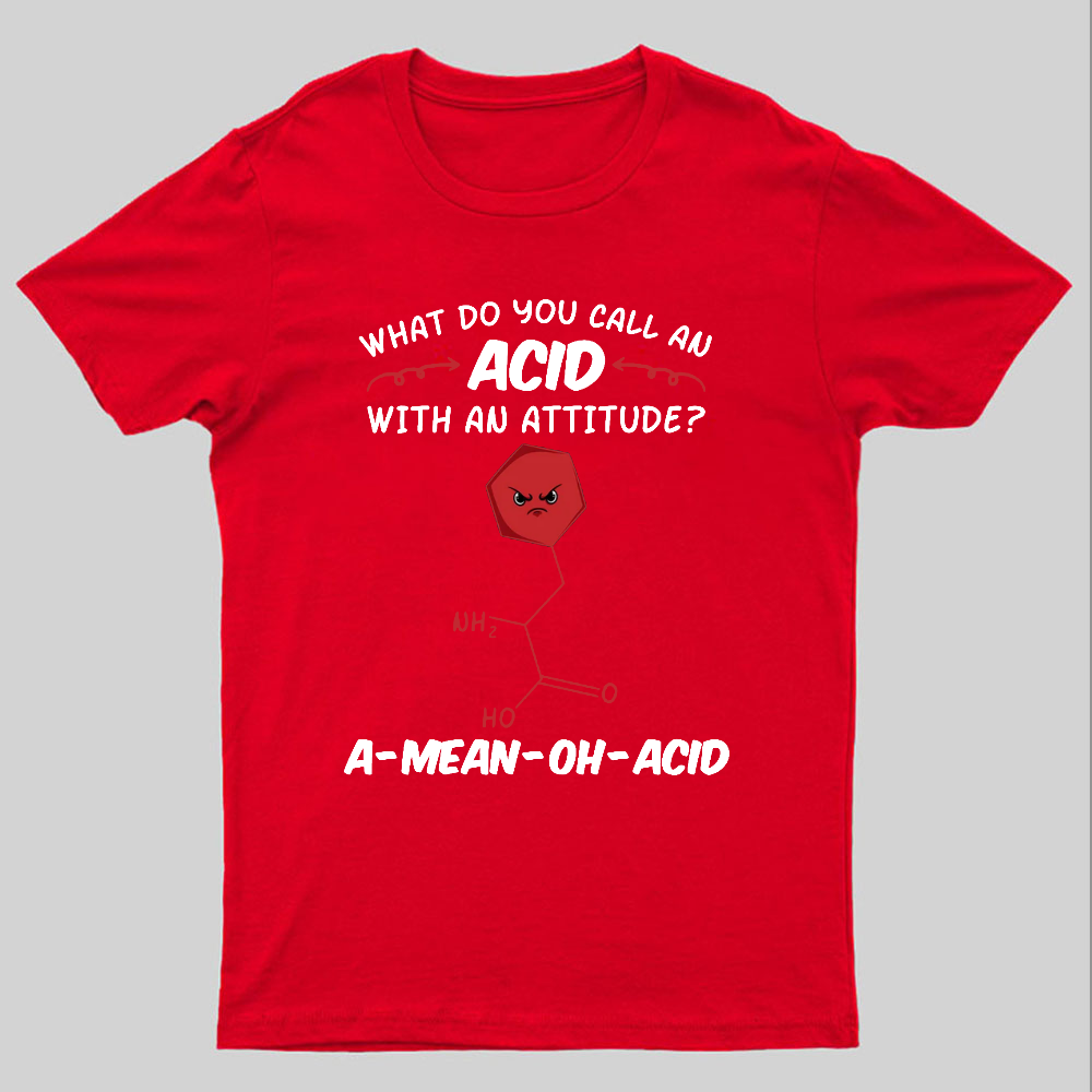 What Do You Call An ACID Geeky T-Shirt