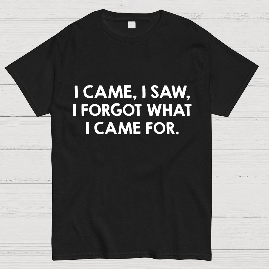 I Came and Saw Funny Geeky T-Shirt