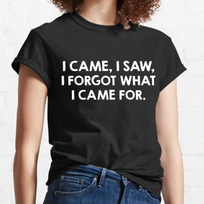 I Came and Saw Funny Geeky T-Shirt