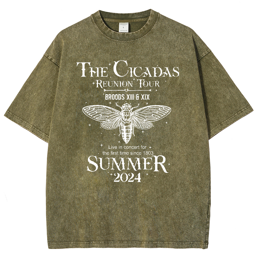 The Cicada Reunion U.S Tour 2024 Cicada Vintage Distressed T-shirt