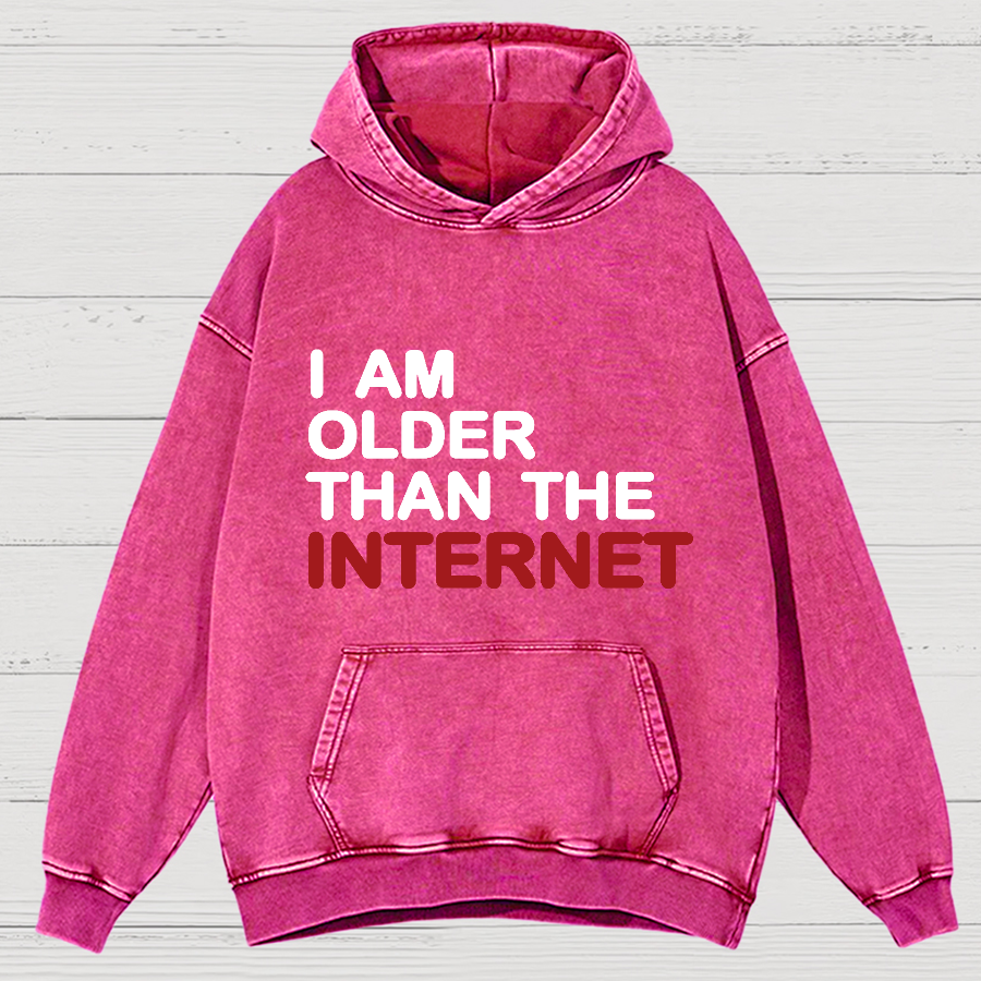 I Am Older Than The Internet Vintage Distressed Hoodie
