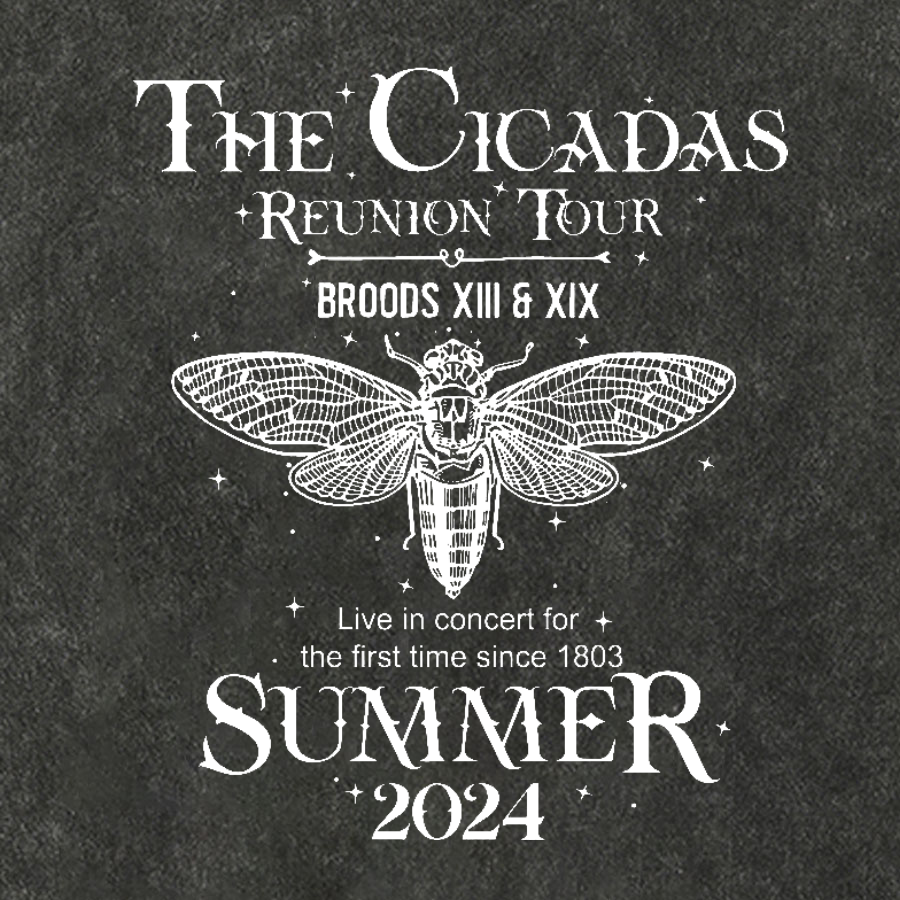 The Cicada Reunion U.S Tour 2024 Cicada Vintage Distressed T-shirt