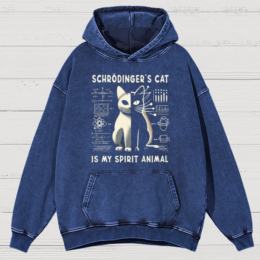 Schrodinger's Сat Science Cotton Vintage Distressed Hoodie