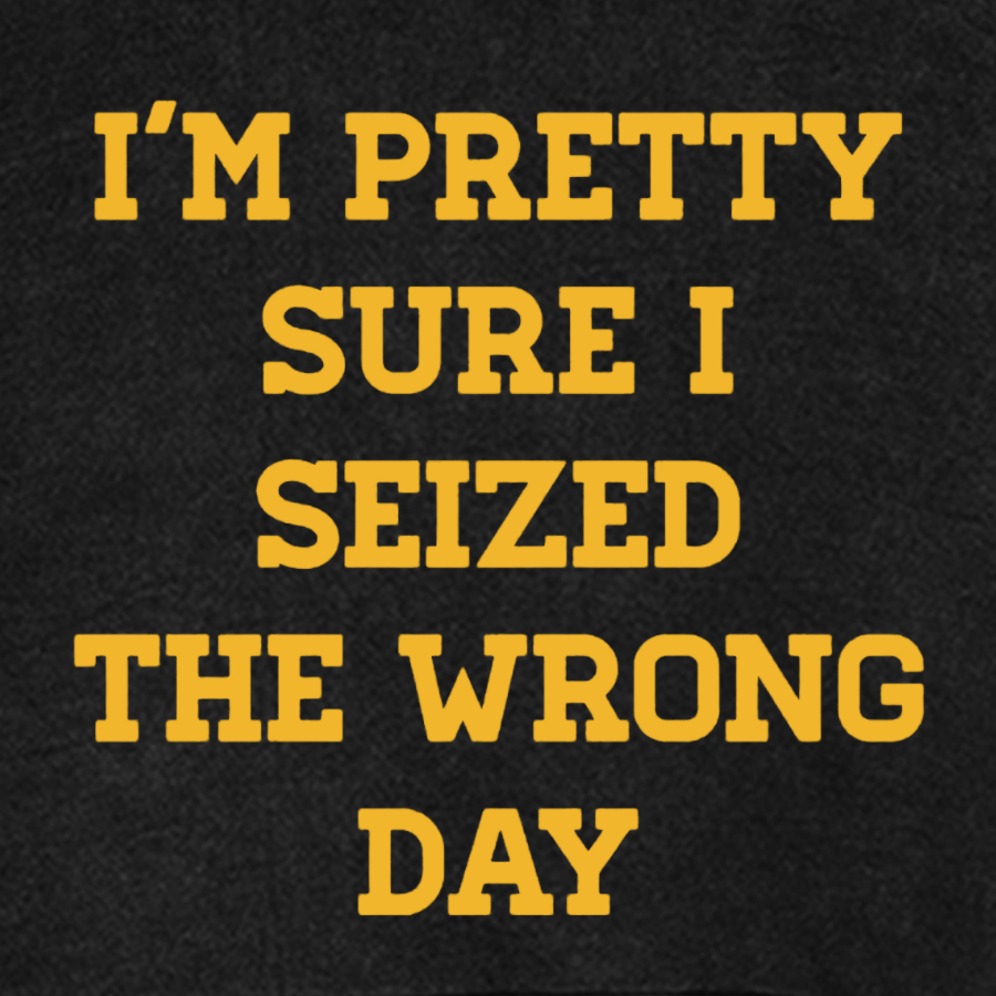 I'm Pretty Sure I Seized The Wrong Day Vintage Distressed Hoodie