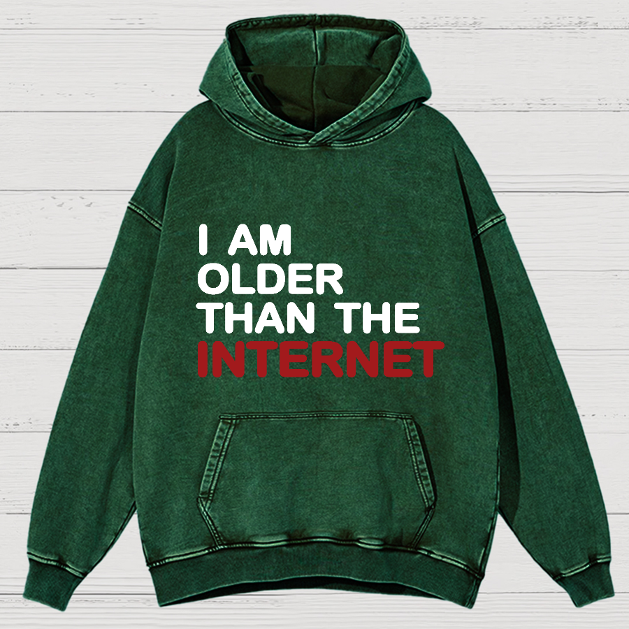 I Am Older Than The Internet Vintage Distressed Hoodie