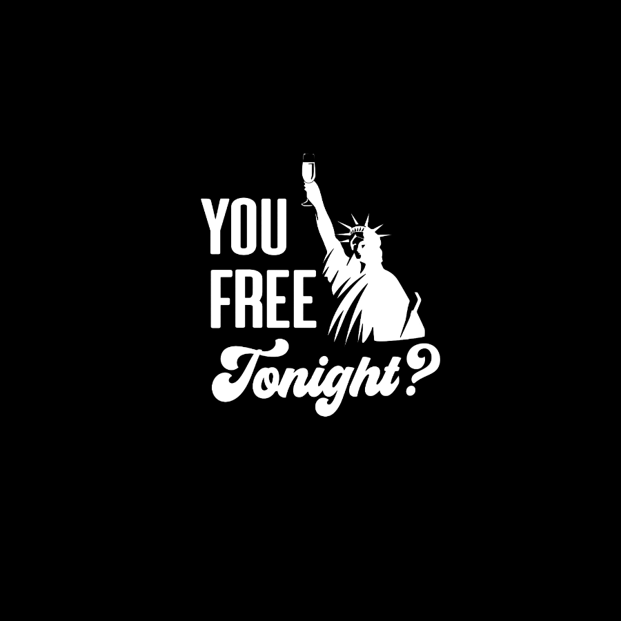 YOU FREE TONIGHT? 4th of July Geeky T-Shirt