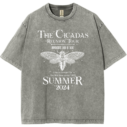 The Cicada Reunion U.S Tour 2024 Cicada Vintage Distressed T-shirt