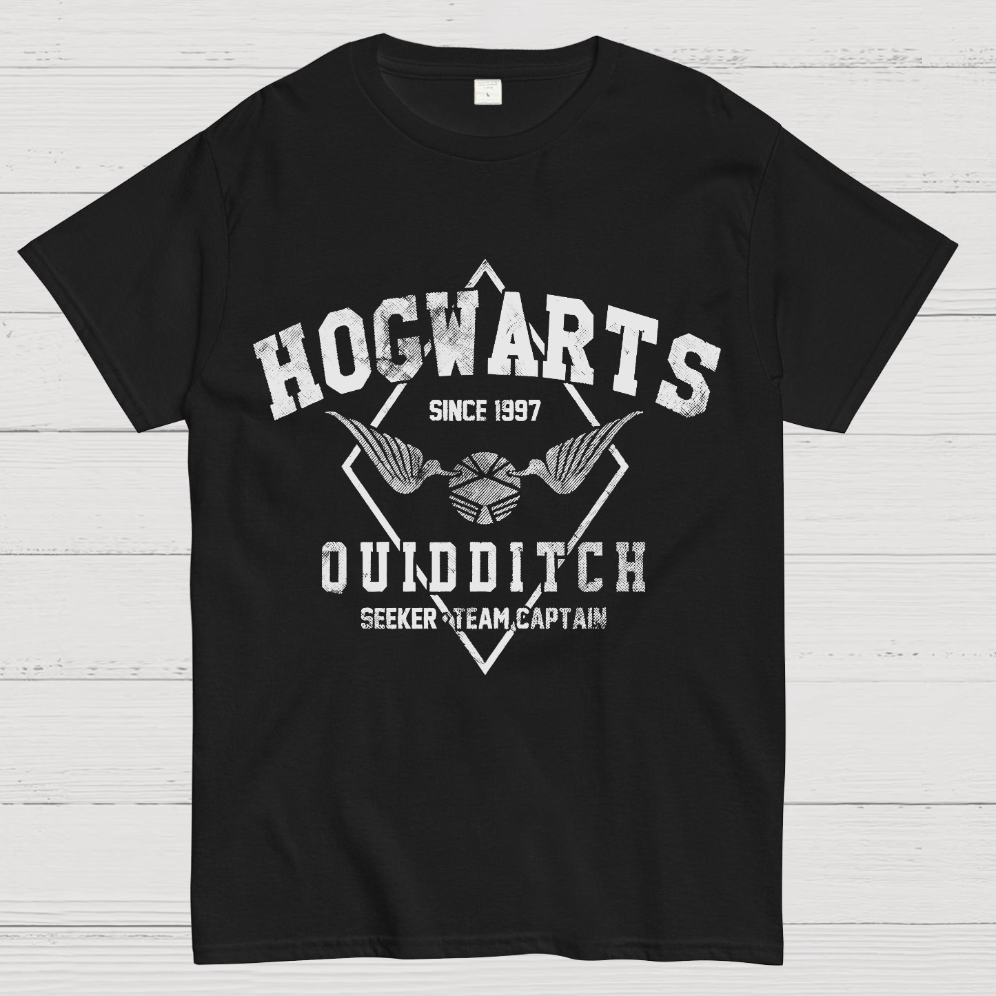 Hogwarts Quidditch Geek T-Shirt