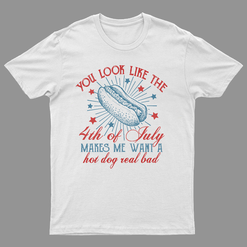 You Look Like the 4th of July Geeky T-Shirt
