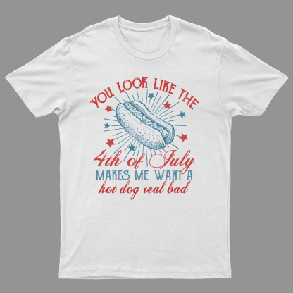 You Look Like the 4th of July Geeky T-Shirt