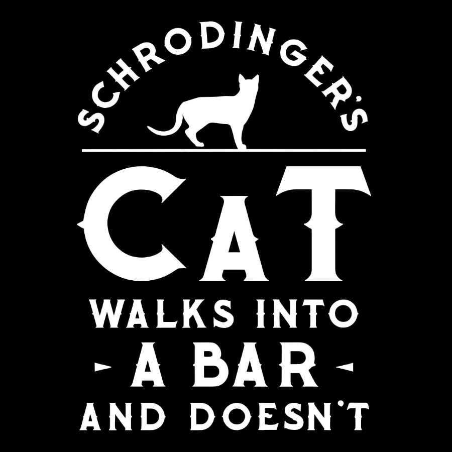 Schrodinger‘s Cat Walks Into a Bar Geeky T-Shirt