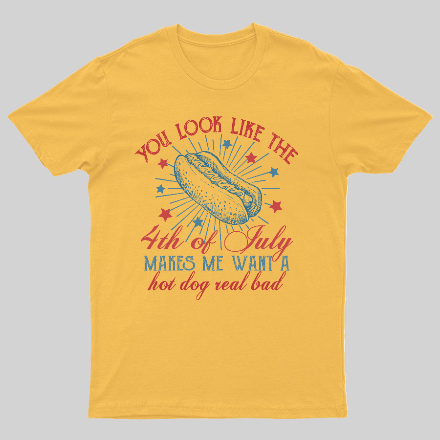 You Look Like the 4th of July Geeky T-Shirt