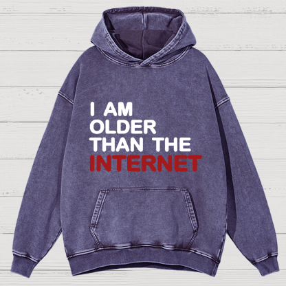 I Am Older Than The Internet Vintage Distressed Hoodie
