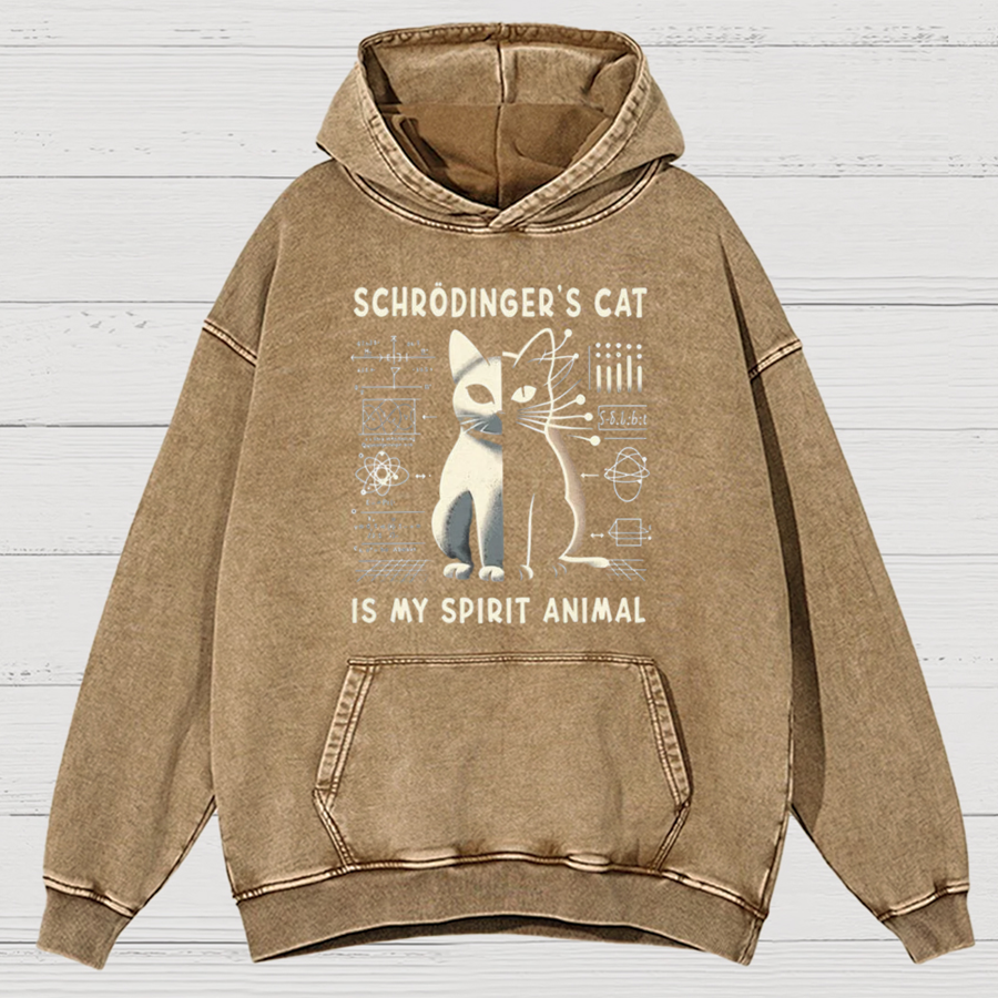 Schrodinger's Сat Science Cotton Vintage Distressed Hoodie