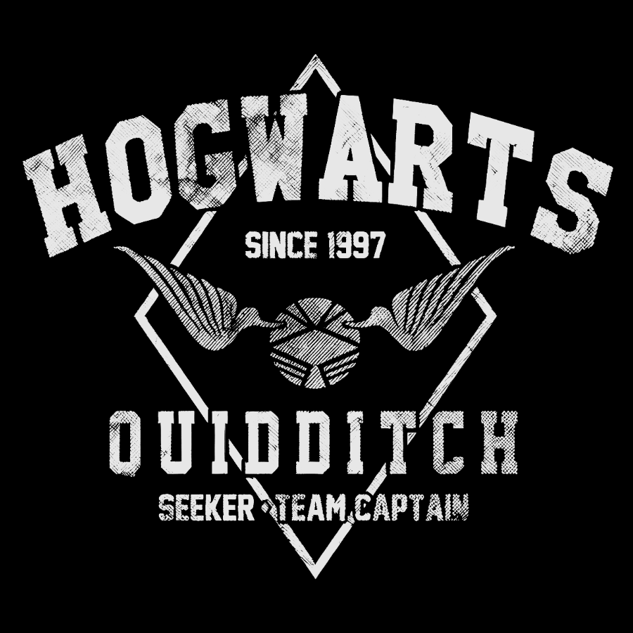 Hogwarts Quidditch Geek T-Shirt