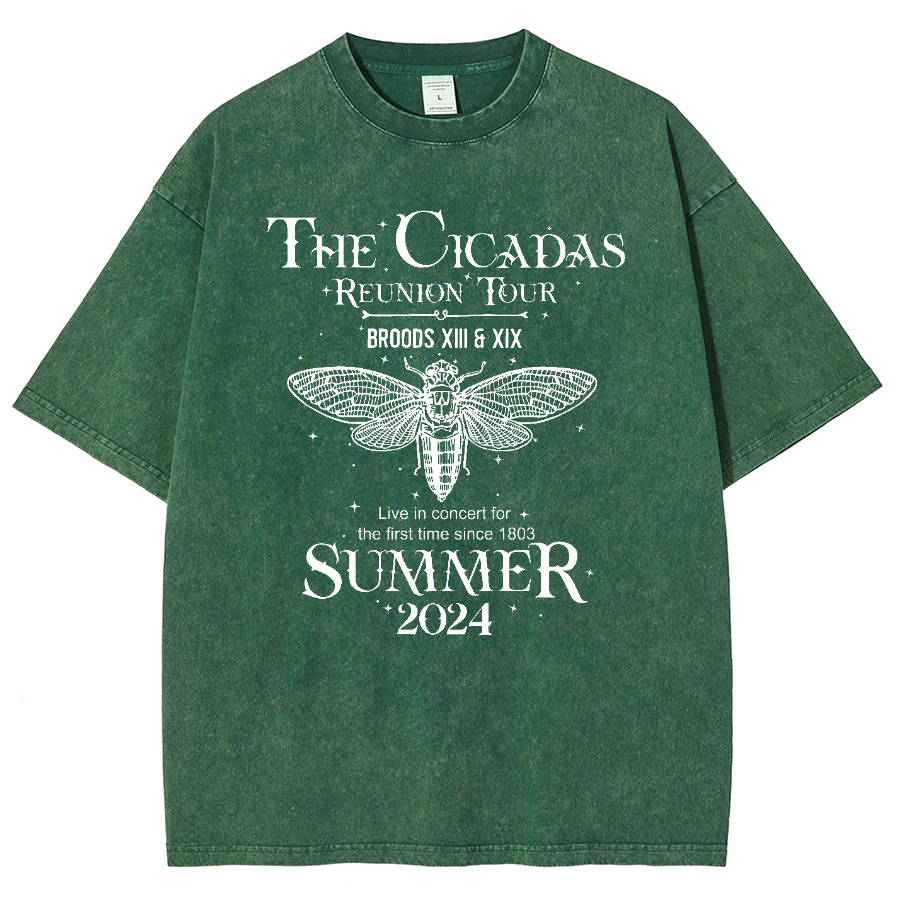The Cicada Reunion U.S Tour 2024 Cicada Vintage Distressed T-shirt