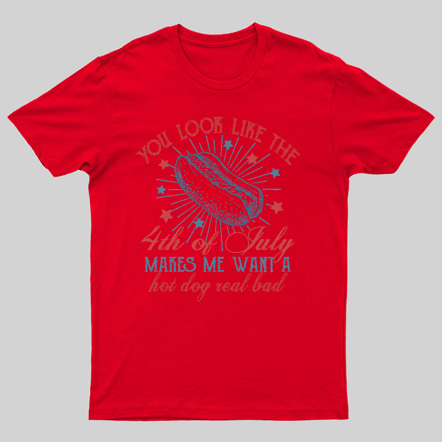You Look Like the 4th of July Geeky T-Shirt