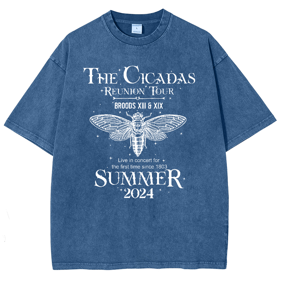 The Cicada Reunion U.S Tour 2024 Cicada Vintage Distressed T-shirt