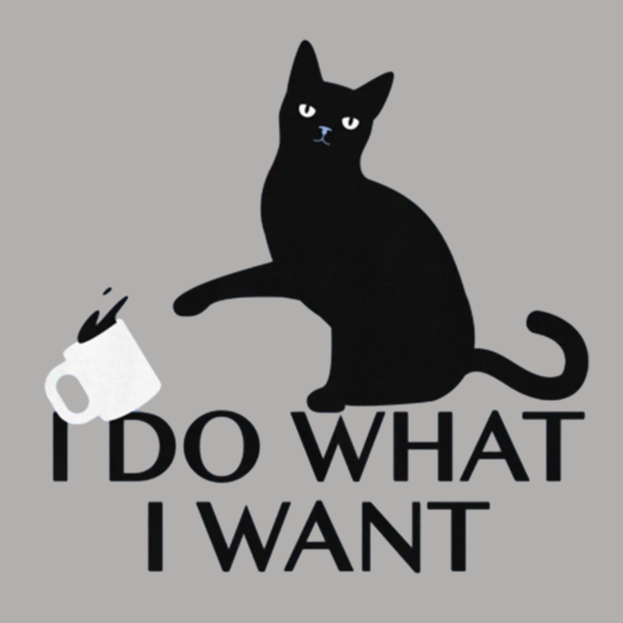 I Do What I Want Geeky T-Shirt