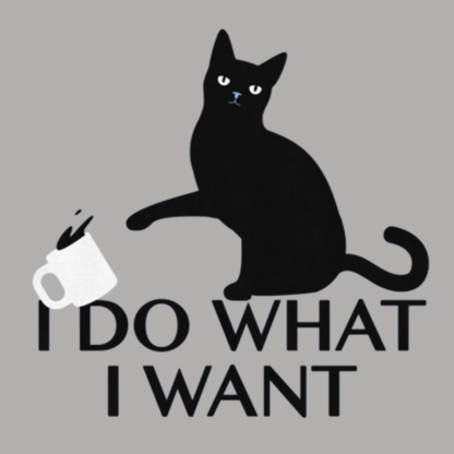I Do What I Want Geeky T-Shirt