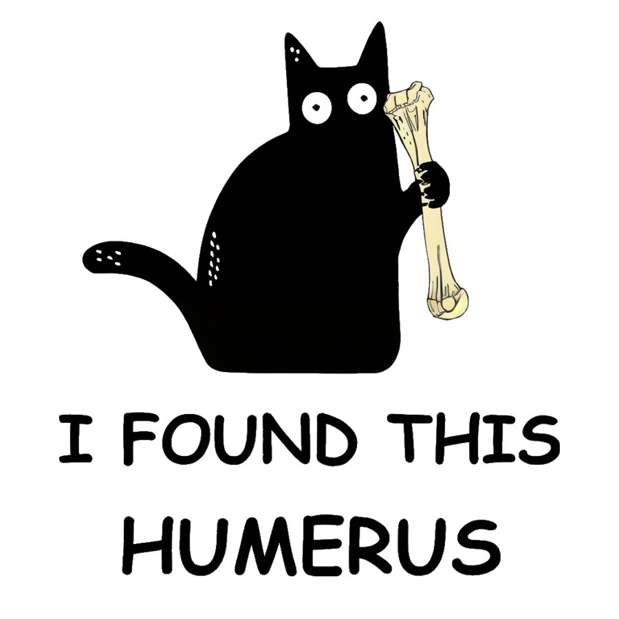 I Found This Humerus Nerdy T-Shirt