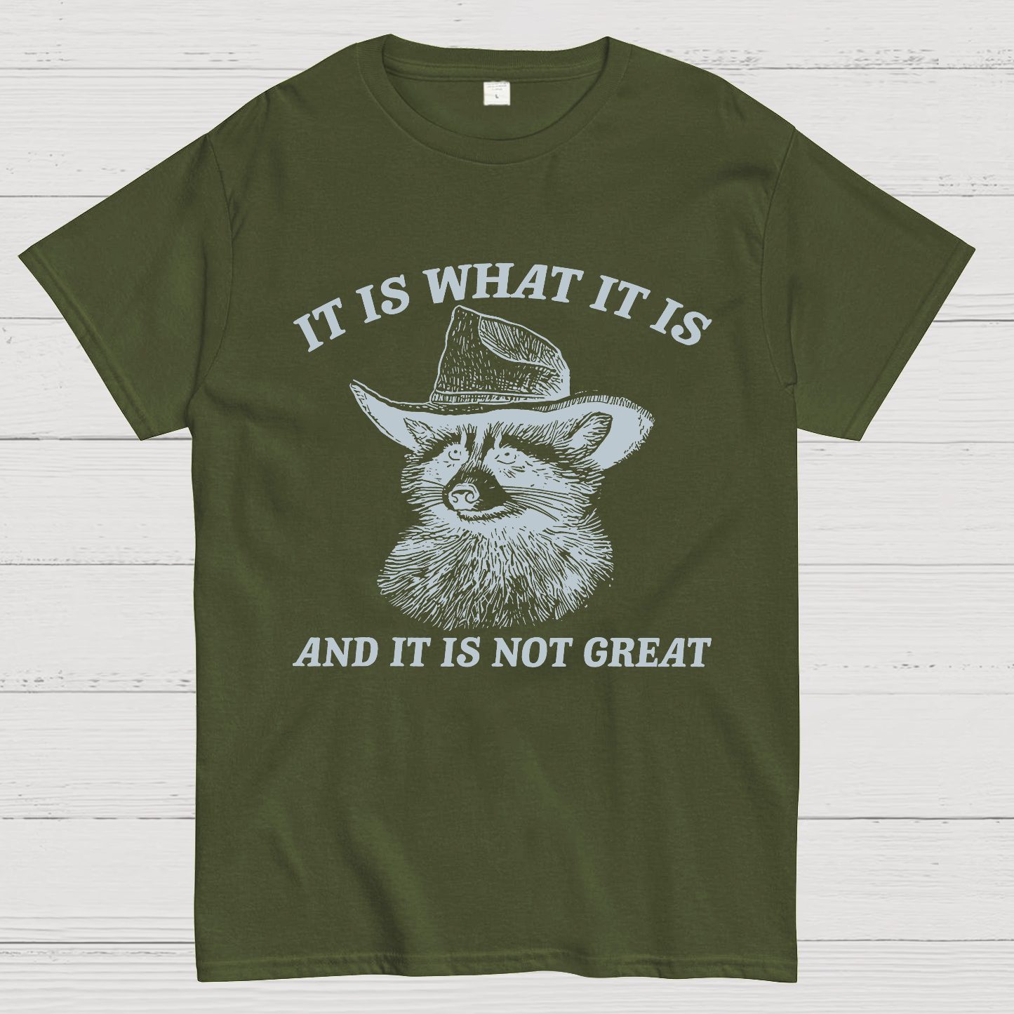 t Is What It Is And It Is Not Great Vintage Raccoon Geeky T-Shirt