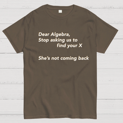 Dear Algebra, Stop Asking Us To Find Your X-1 Geeky T-Shirt