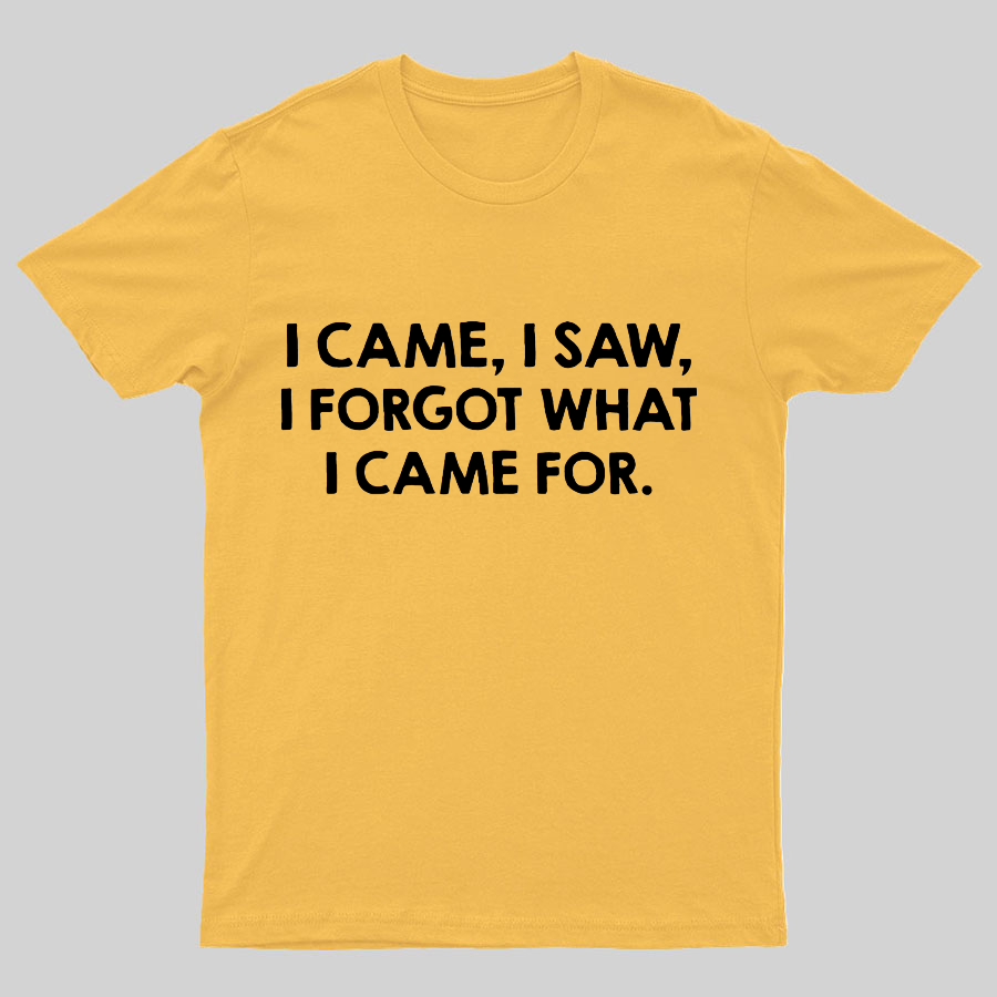 I Came and Saw Funny Geeky T-Shirt