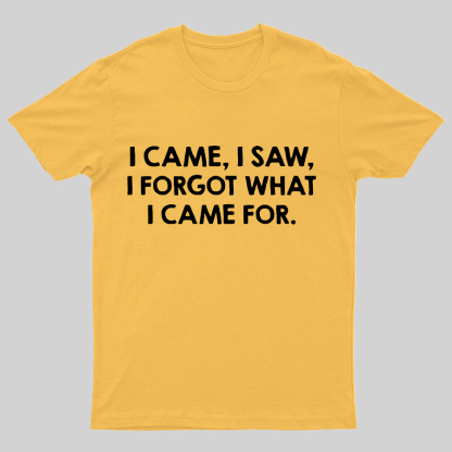 I Came and Saw Funny Geeky T-Shirt