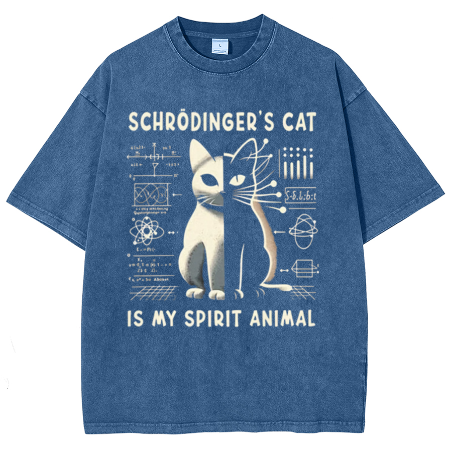 Schrodinger's Сat Science Vintage Distressed T-shirt