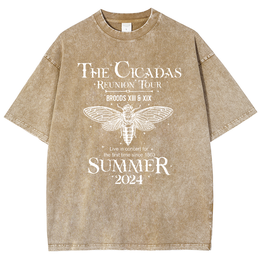 The Cicada Reunion U.S Tour 2024 Cicada Vintage Distressed T-shirt
