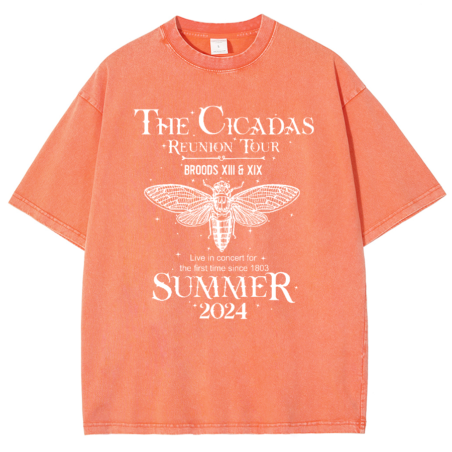 The Cicada Reunion U.S Tour 2024 Cicada Vintage Distressed T-shirt