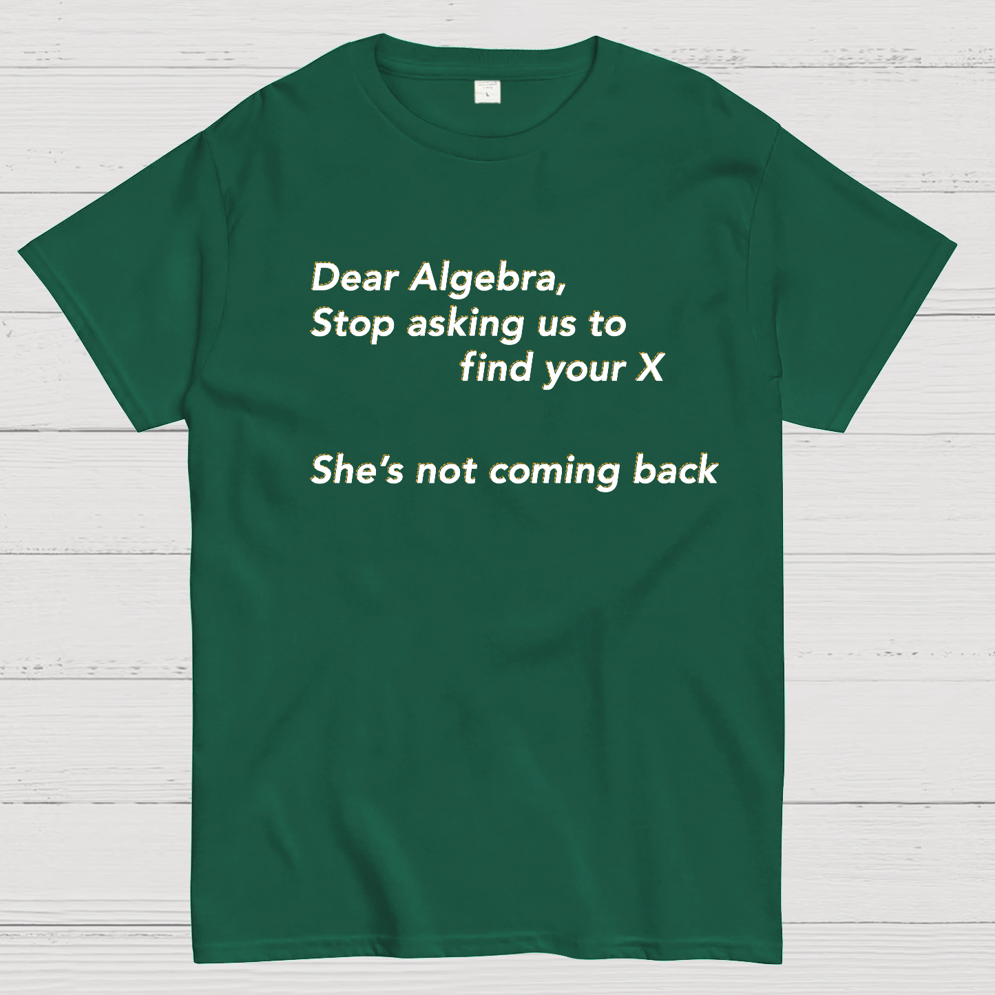 Dear Algebra, Stop Asking Us To Find Your X-1 Geeky T-Shirt