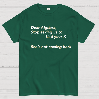 Dear Algebra, Stop Asking Us To Find Your X-1 Geeky T-Shirt