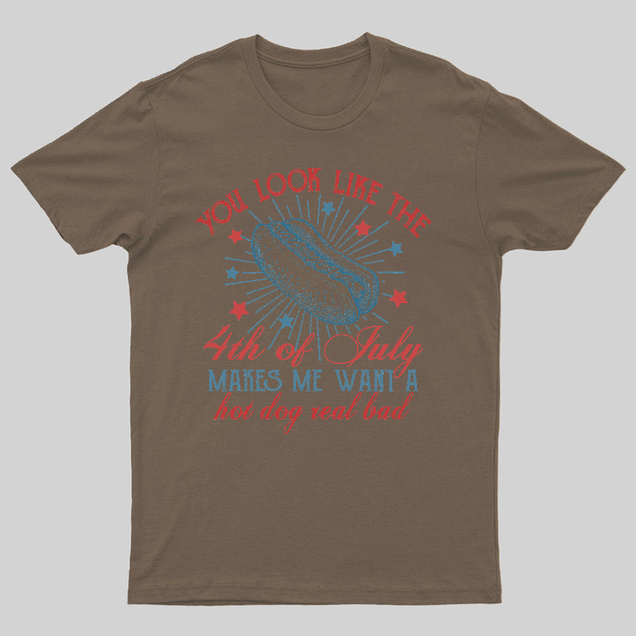 You Look Like the 4th of July Geeky T-Shirt