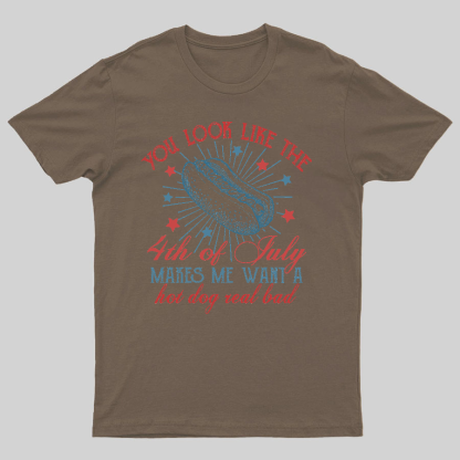 You Look Like the 4th of July Geeky T-Shirt