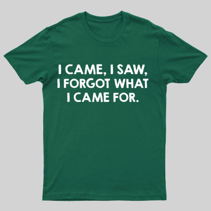 I Came and Saw Funny Geeky T-Shirt