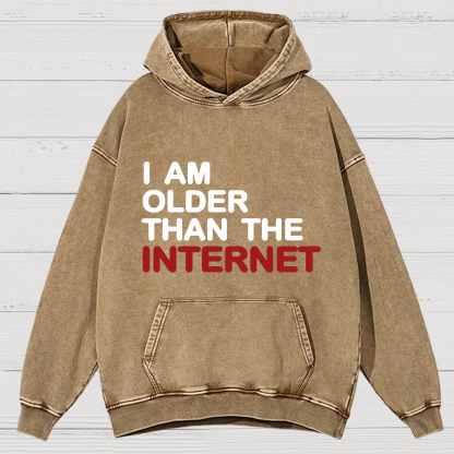 I Am Older Than The Internet Vintage Distressed Hoodie