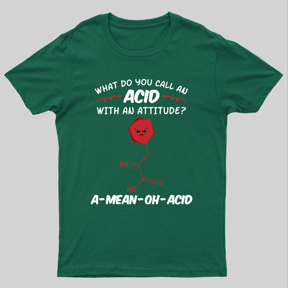 What Do You Call An ACID Geeky T-Shirt