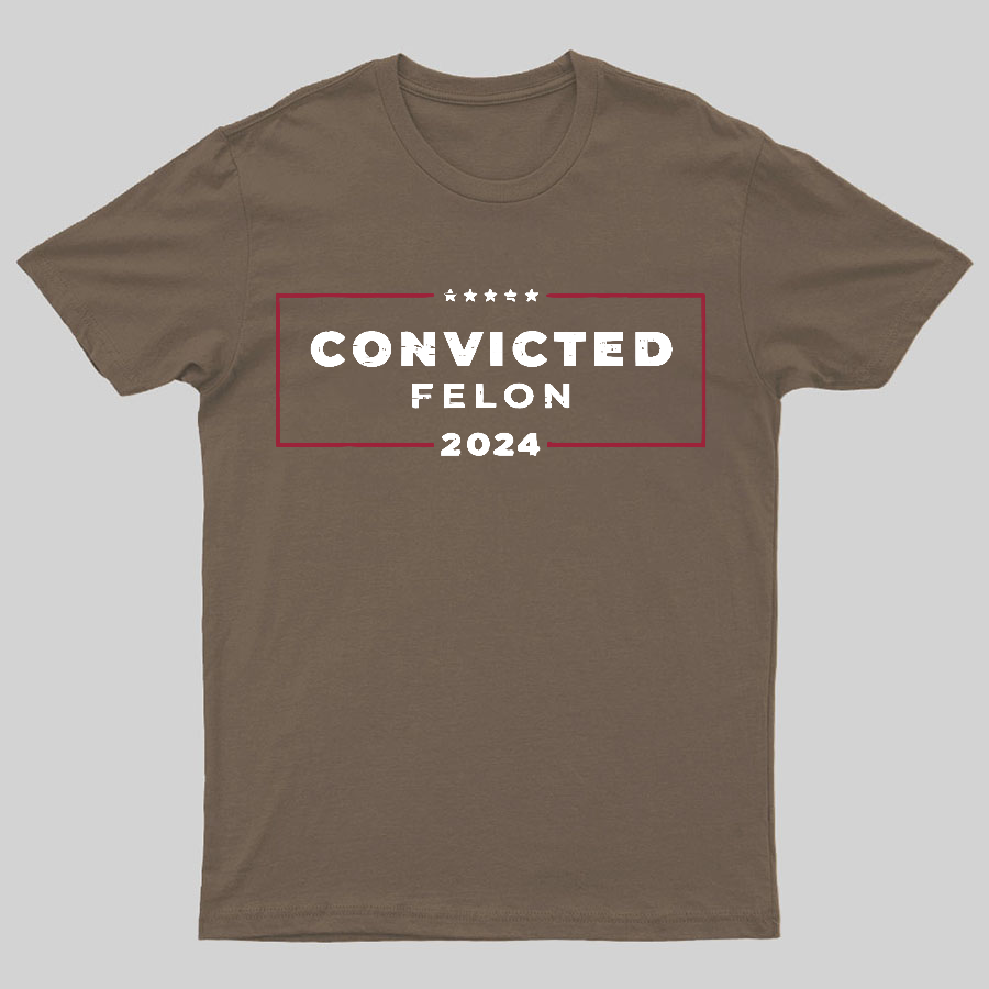 2024 Convicted Felon Geeky T-Shirt