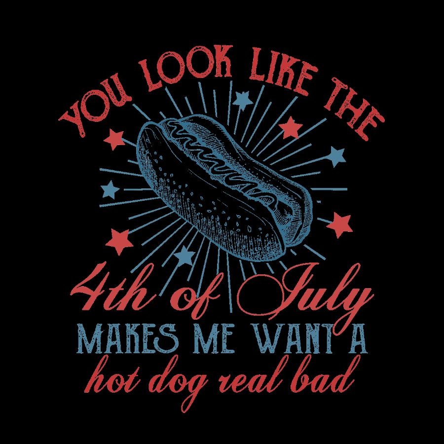 You Look Like the 4th of July Geeky T-Shirt
