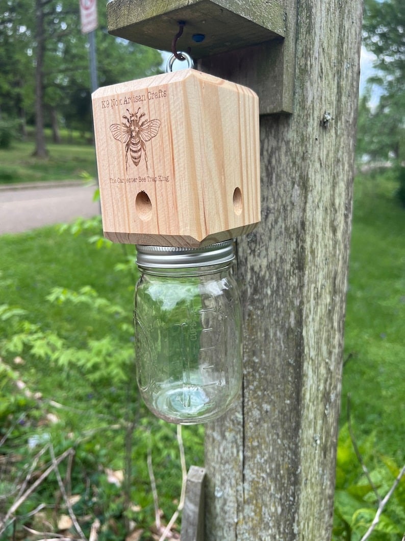 ✨Hot Sale 49% OFF--🔥Best Carpenter Bee Trap