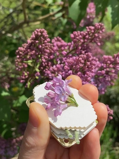 💐2025 Micro Flower Press