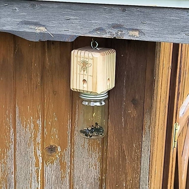 ✨Hot Sale 49% OFF--🔥Best Carpenter Bee Trap