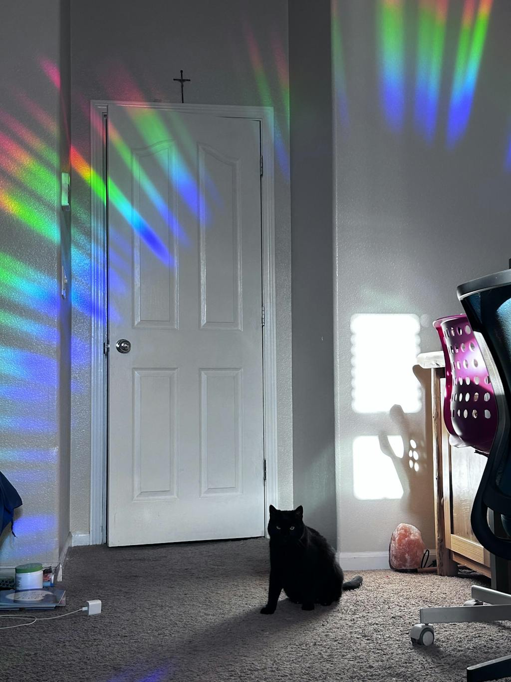 🔥Last 4 hours Sale: Save 50% -Sun Catcher Sticker