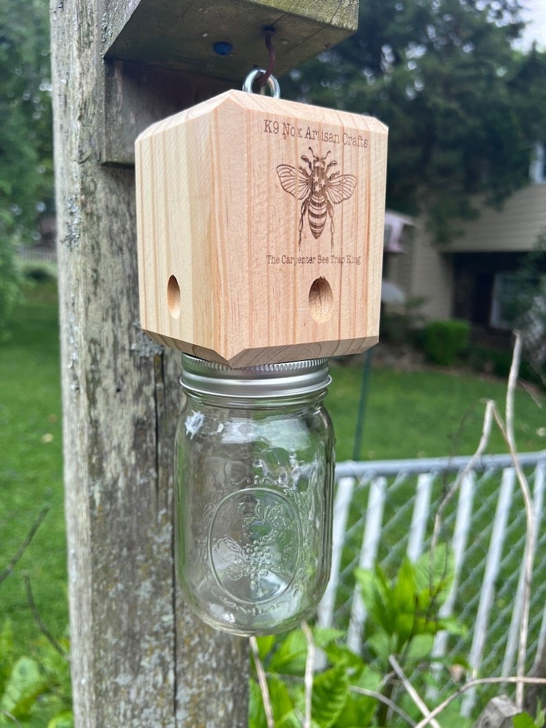 ✨Hot Sale 49% OFF--🔥Best Carpenter Bee Trap